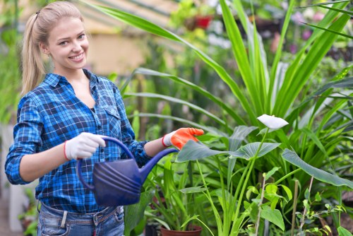 Selecting the right hedge trimmer in Wanstead