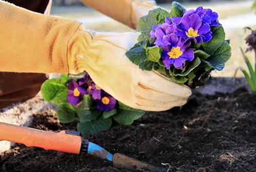 Team of Gardening Services Wanstead working on a landscaping project