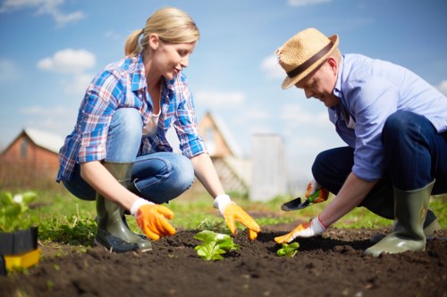 Professional lawn care equipment