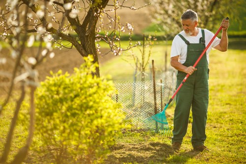 Eco-friendly lawn mowing practices