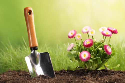 Seasonal hedge trimming tips for Wanstead