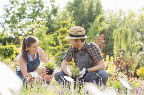 Expert tree and shrub care in Wanstead
